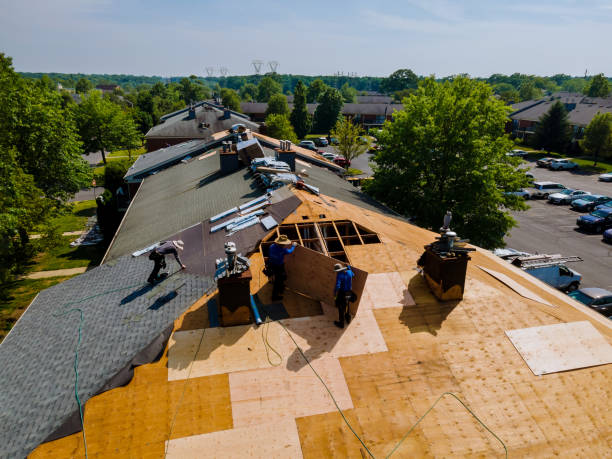 Trusted Roof Replacement service in Burton, WA - Brentwood Metal Roofing